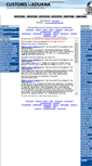 Mobile Screenshot of customsaduana.com